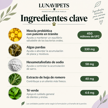 LunaVipets® Polvo Dental — Dientes y Encías Saludables
